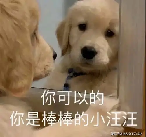 学会这些技巧,我也是恋爱小天才了