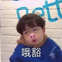 表情sir花钱的活动别叫我