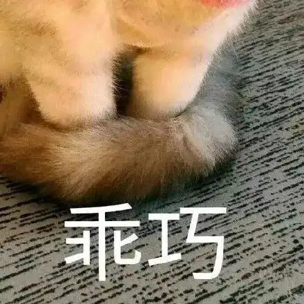 干货满满最强军训攻略,高一新生们看过来