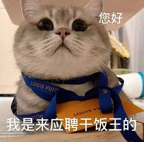 沙雕表情包l不要对我冷冰冰