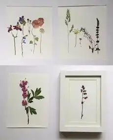 干花手作来袭,总有一款适合你