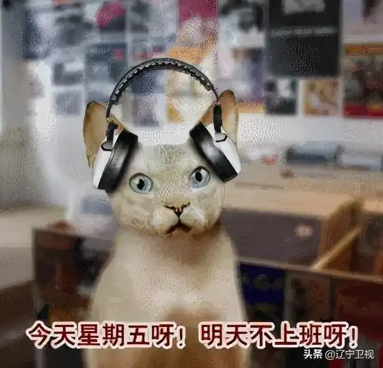 小辽说天气秋雨持续尽显秋凉