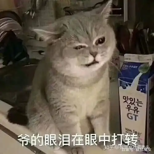 可爱又沙雕的文案收集远离生活中的不开心