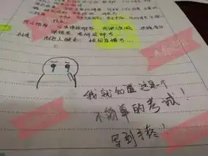 南京一高校期末试卷要求用表情包答题,斗图怕吗