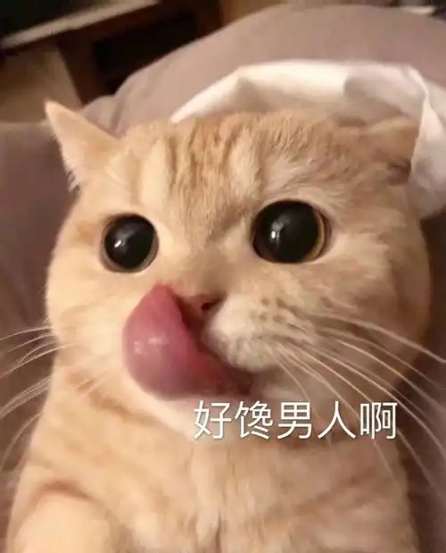 笑话段子练得不错,健身多久了咦,不怎么结实嘛