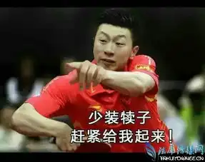 马龙张继科表情包走红,张继科最近为什么突然这么火