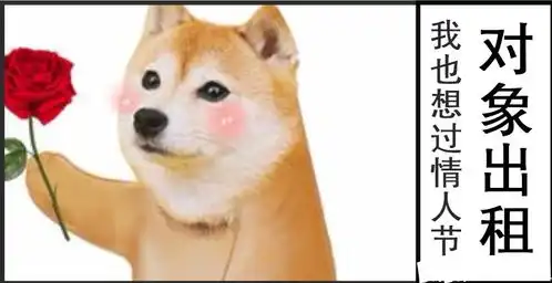 哔哩哔哩专栏