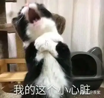 对于肖战此次事件你怎么看