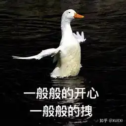 我这微信头像,是不是给人不稳重的感觉