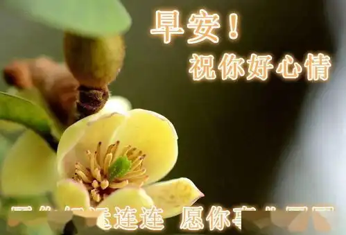 秋天早上好问候语鲜花图片动态表情精选最新版的早上好祝福句子