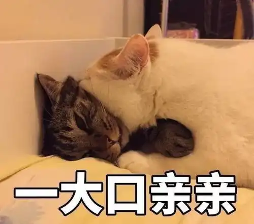 为什么我就是找不到我的游戏天女