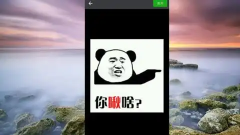 让好友看到就会一脸懵逼的微信头像和昵称,这样搭配太有意思了