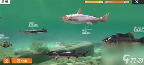 欢乐钓鱼大师鱼类图鉴大全