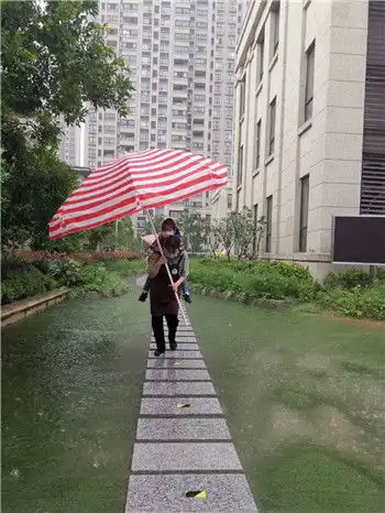 宁波市教育局本地信息暴雨突袭幼儿园老师扛巨伞送孩子离园