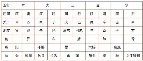 什么是天干地支天干地支算命基础知识