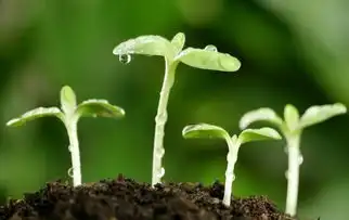 一年之计在于春,2018年三大生肖好兆头,财运冲天,赚得库满包溢
