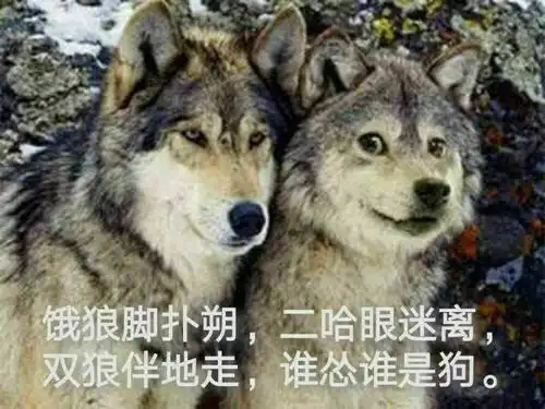 测试一个超长简介的文章