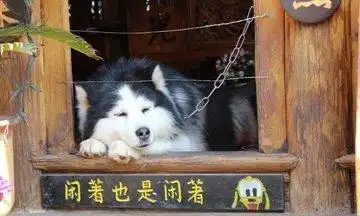 每日一笑这几则笑话已成为经典,我就忍住3秒没笑