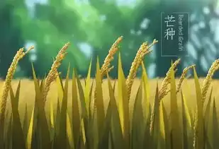 芒种端午高考同行,播种耕耘收获同在,祝广大考生金榜高中