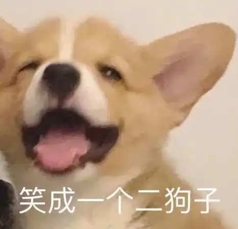 跟你超配的沙雕表情包