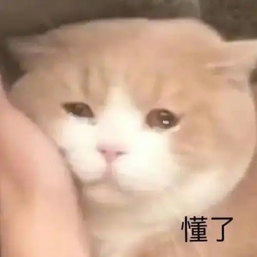 就算没有夫妻的缘分,孩子面前终究是一家人
