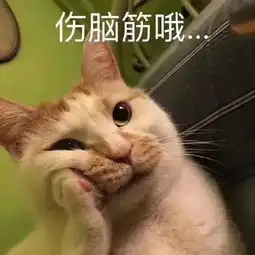 心理学考研49条前辈考研经验,让你不走弯路