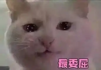 搞事情今天微信红包上限调整到520元,腾讯官微被围攻群怼......