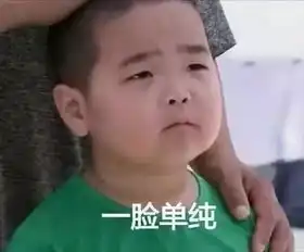 说女儿不正常,动手推母亲巨婴包文婧还不如马蓉其实她一直都挺作死...