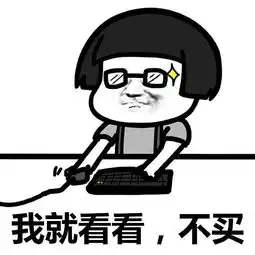能跑300公里的占号神器江淮iev6e两个版本怎么选
