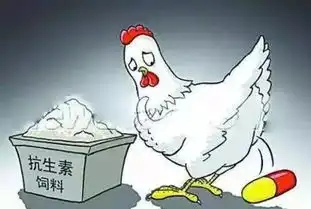 大学生创业农场教你认坏蛋和好蛋