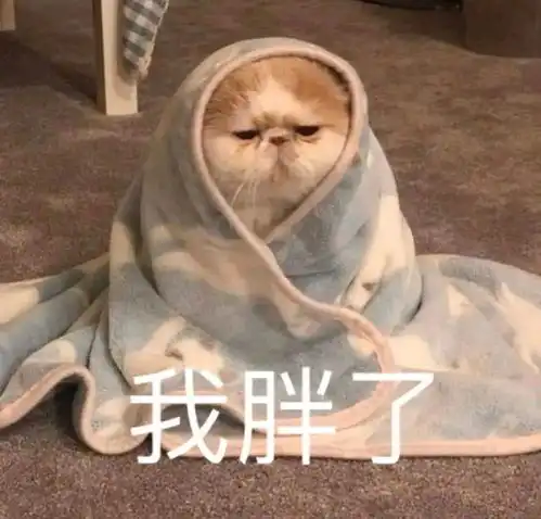 可爱头像你今天肯定没有想我