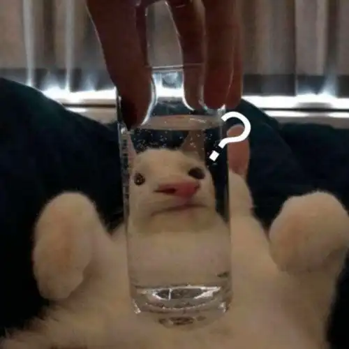 嘉庚人必看你没见过的大径村