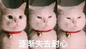 表情包你表情包太多,不想和你聊了