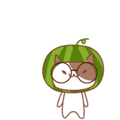 西瓜猫熙熙cici表情包