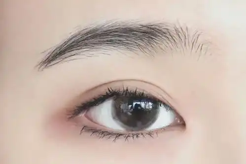 用惯了大牌化妆品没想到平价彩妆也这么优秀