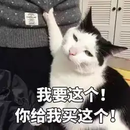 一大堆喵表情来袭,收好不谢