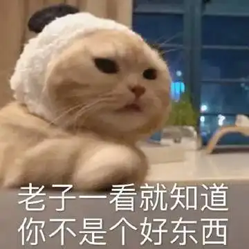 表情包抱抱我嘛