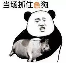 测试一个超长简介的文章