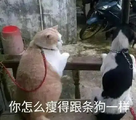 怎么吃都不胖或许不是什么好事