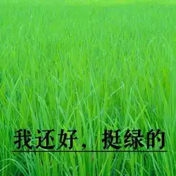 撕逼姐妹,出轨人夫,改头换命说说她上位的故事