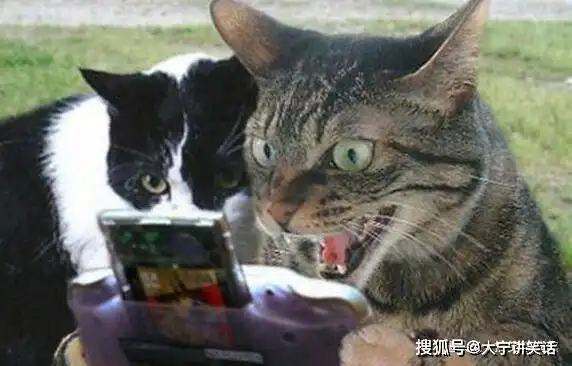 笑话十则我姑一顿也能吃一盆,我家二哈驮着她一口气跑二里地