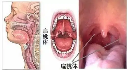 秋冬关联柜台提示卡图片展示关联卖点,少说话更吸引顾客