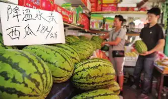 瓜贩进新疆拉瓜抬高西瓜价格