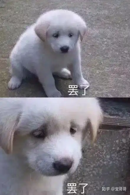陪玩的那些坑