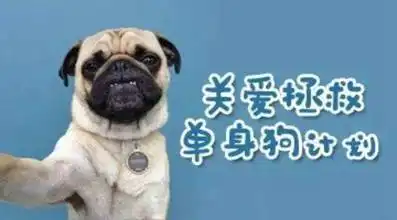 520被虐惨广东沦为单身重灾区,莫慌有国家撑腰,国家给你找对象
