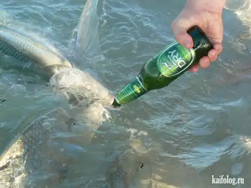 看看老外钓鱼的乐趣真欢乐
