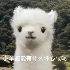 无所畏惧配套的表情包羊驼