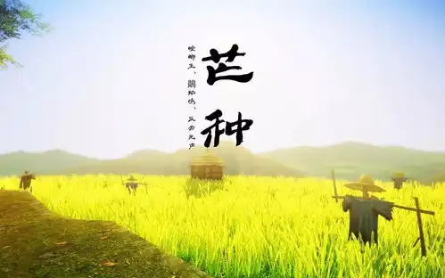 芒种好节气养生正当时