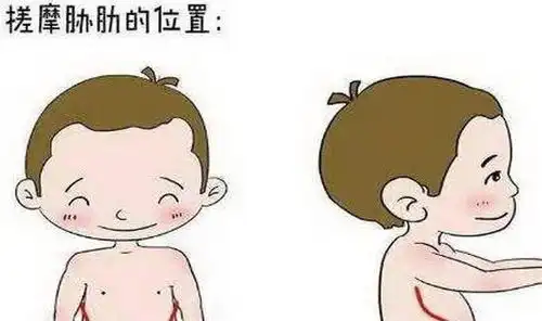 体检查出脂肪肝莫担心,学会这些,肝脏可能安好如初
