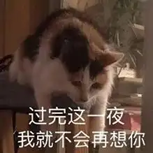 表情sir过完这一夜,我就不会再想你